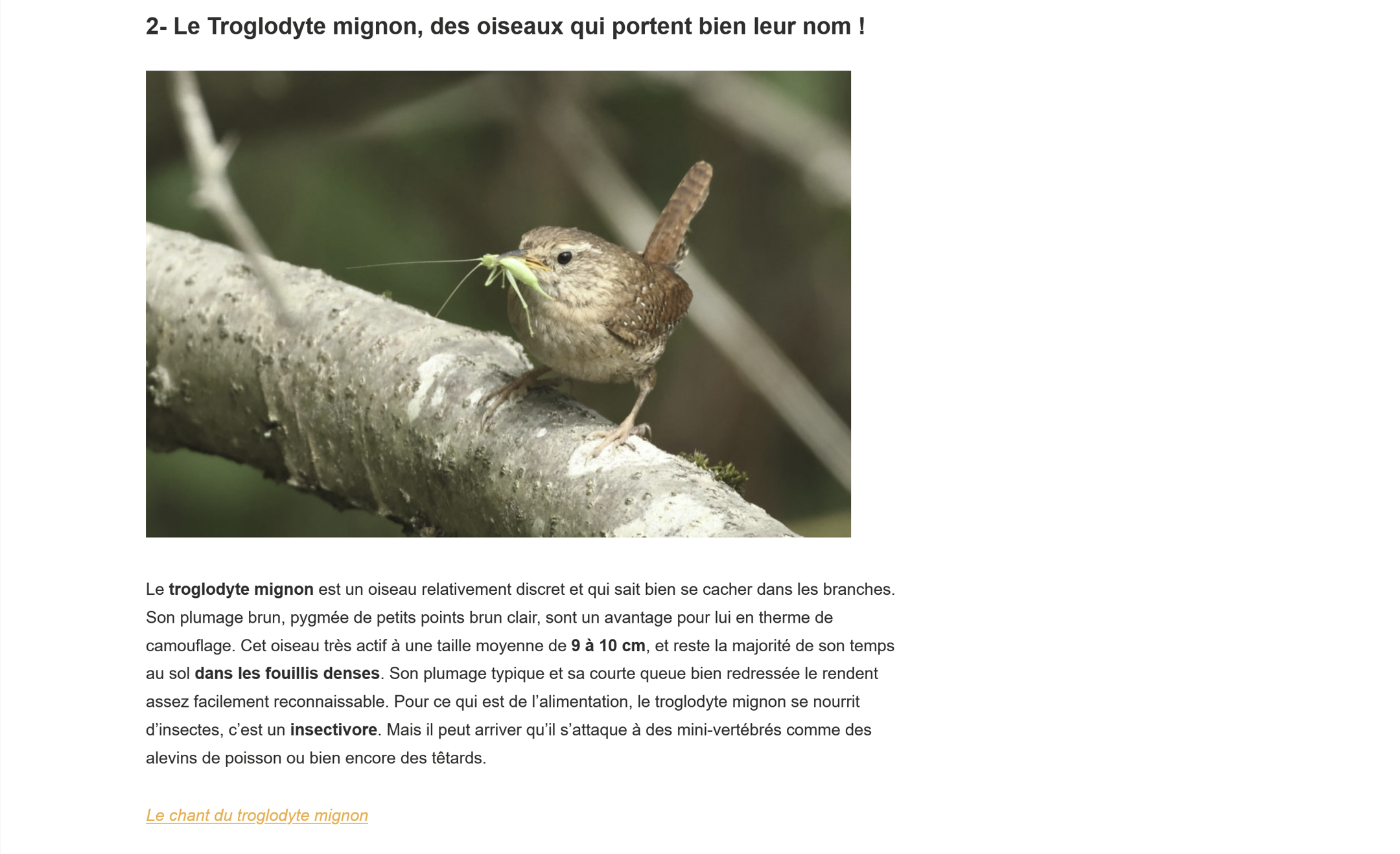 Blog 5